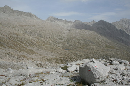 O236-innesto-su-ghiacc-Mandron-080910-LB-1