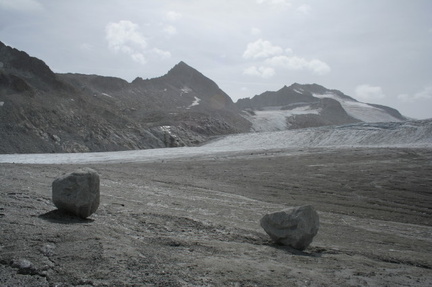 O236-innesto-su-ghiacc-Mandron-080910-LB-4