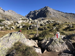 O238-ldp005-00-p02-220821-ED