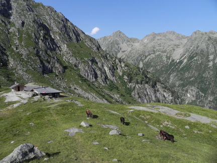 O238-MalgaPloze-70-2010-td