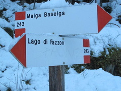 O243-ldp003-00-d01-211106-EG
