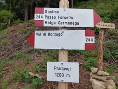 O244-ldp001-01-d2-170630-DR