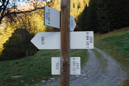 O244-ldp001-02-d4-161028-td-654