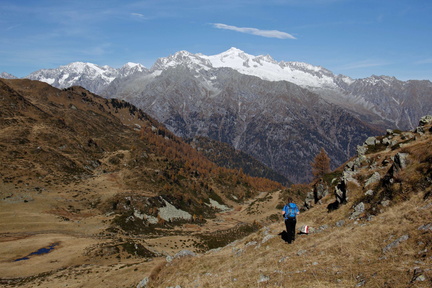 O244-161028-MG-6747-Sforzelin