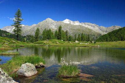 O244-Lago-Germenega-Presanella-2016-td-