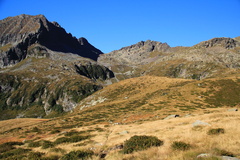 O245-130924-td-445
