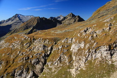 O245-130924-td-455