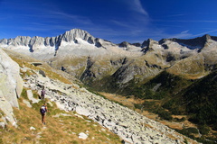 O245-130924-td-463