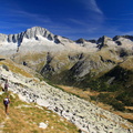 O245-130924-td-463