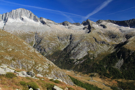O245-130924-td-468