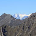 O245-140923-0316-da-Forcel-Rosso