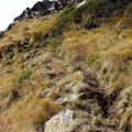 1O245A-verso-passo-Ignaga-170923-ED