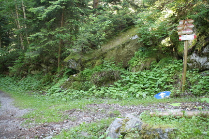 O246-ldp002-00-p1-130630-DZ