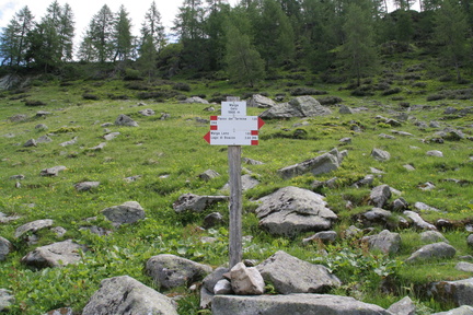 O246-ldp004-00-p1-130630-DZ