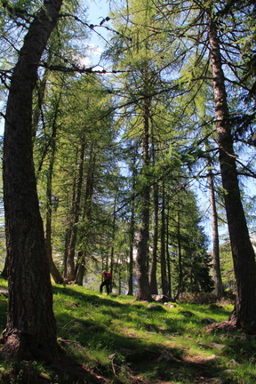O246-val-di-Leno-2013-td-54 (49 visite) O246-val-di-Leno-2013-td-54