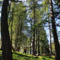 O246-val-di-Leno-2013-td-54