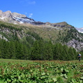 O246-val-di-Leno-2013-td-64