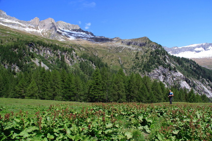 O246-val-di-Leno-2013-td-64