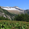 O246-val-di-Leno-2013-td-71