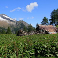 O246-val-di-Leno-2013-td-77
