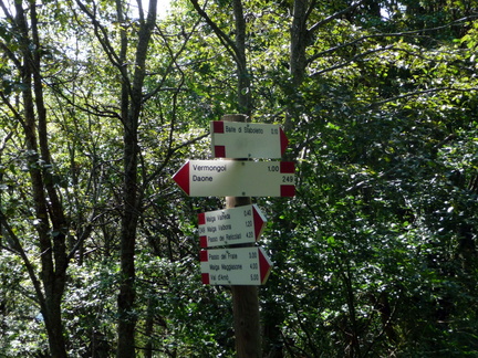 O249-ldp002-00-d1-090902-GP-bivio-per-Vermongoi-q1500c