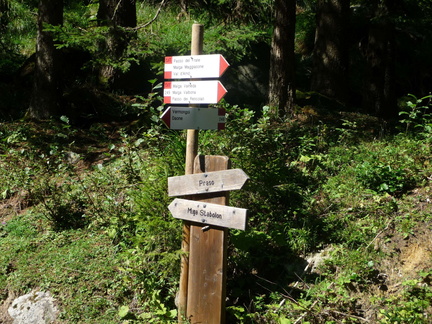 O249-ldp003-00-d0-090902-GP-bivio-per-Malga-Stabolon