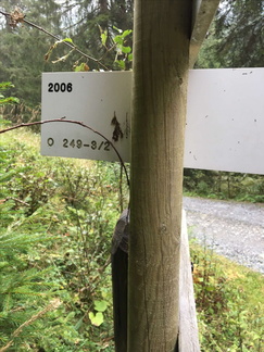 O249-ldp003-00-d03-161004-ED