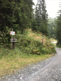 O249-ldp003-00-p02-161004-ED