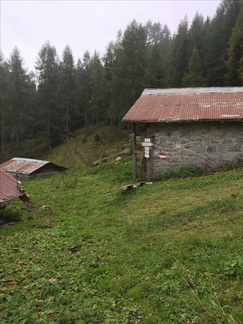 O249-ldp005-00-p02-161004-ED