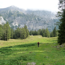 sentiero