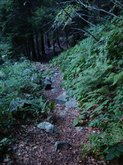 O249B-080908-LB-00619