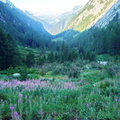 O249B-090902-GP-P1010400 (22 visite) O249B-090902-GP-P1010400