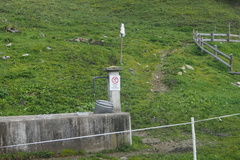 O250-ldp004-00-p01-230917-FB