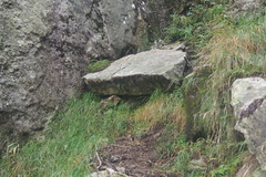 O250B-P9170209