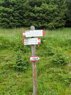 O251-ldp002-00-d01-230720-GV