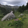 O251-ldp006-00-p1-160806-CC-38