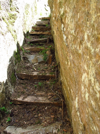 O254-130803-LB-0021 (13 visite) O254-130803-LB-0021