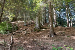 O245A-171006-DA-7360