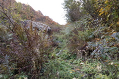 O245A-171006-DA-7382