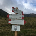 O258-ldp008-00-d01-211012-GV (64 visite) O258-ldp008-00-d01-211012-GV