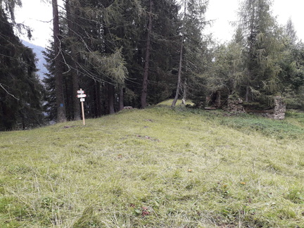 0258A-ldp002-00-p01-190813-GV