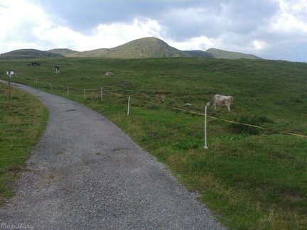 O259-ldp002-02-p2-150810-DZ