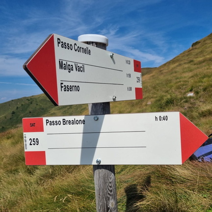 O259-ldp007-01-d01-270824-IB (113 visite) O259-ldp007-01-d01-270824-IB