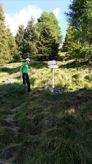 O260-ldp002-00-p2-160831-RH