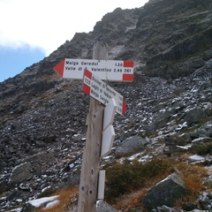 O261-ldp002-00-d2-161007-MCF-122732