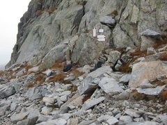 O261A-ldp002-00-p3-171002-DA