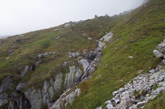 O261A-120918-td-3145-33