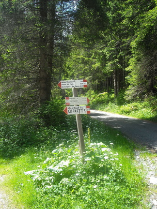 O262-ldp001-00-d1-160623