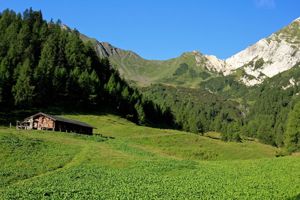 O262-10-TD-160811-Malga-Maggiassone