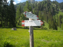 O262B-ldp002-00-d1-160623-SMB